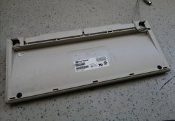 IMG_20230413_171605.jpg