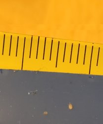 20230705_205006.jpg
