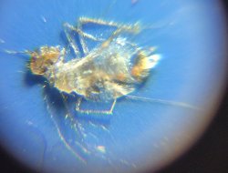 20230706_012521.jpg
