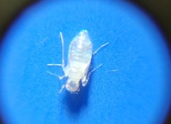 20230706_020039.jpg