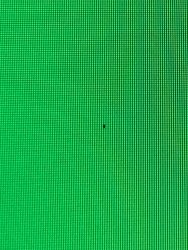 D60329F6-E40A-4DC5-BE4E-A9BB89FB9F29.jpeg