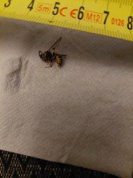 20230729_221418.jpg