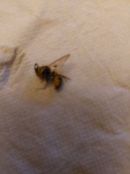 20230729_221237.jpg