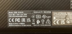 IMG_0980.jpeg