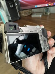 IMG_4986.jpeg