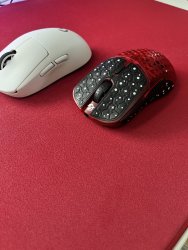 IMG_5446.jpeg