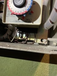 IMG_2251.jpeg