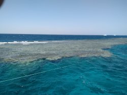 IMG_20170325_110350.jpg