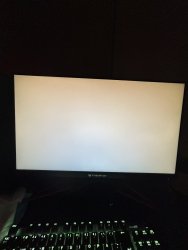 IMG_8291.jpeg