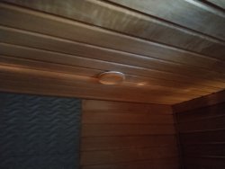 IMG_20240210_115410_653.jpg