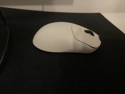 IMG_4961.jpeg