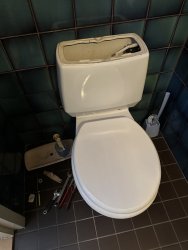 IMG_8629.jpeg