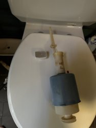 IMG_8631.jpeg
