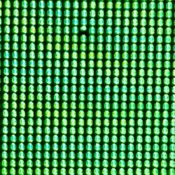 20240817_180445.jpg