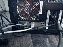 IMG_9781.jpeg