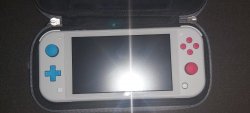 SwitchLite (1).jpg