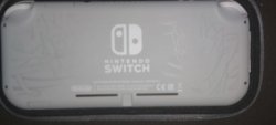 SwitchLite (2).jpg