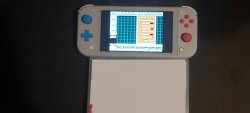 SwitchLite (3).jpg