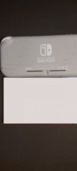 SwitchLite (4).jpg