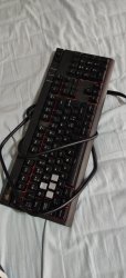 IMG_20200323_155218.jpg