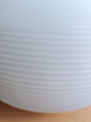 IMG_20200706_145700.jpg