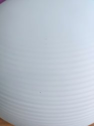 IMG_20200706_145729.jpg