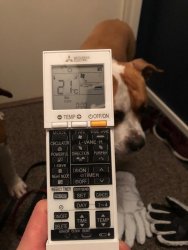 E8F4603F-E861-4C9B-AE40-50E21B0FD1FF.jpeg