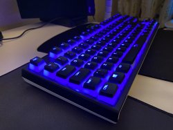 IMG_1772.jpeg