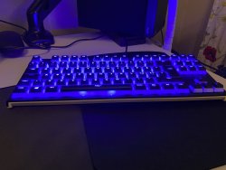 IMG_1773.jpeg