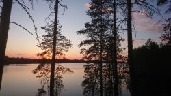 IMG-20210611-WA0000.jpeg