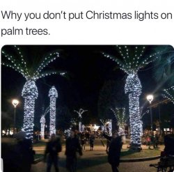 FB_IMG_1639219680397.jpg
