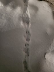 20220204_072246.jpg