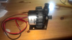 WP_20180310_22_48_48_Pro.jpg