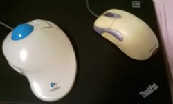 microsoft.jpg