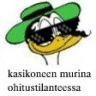 wilikki