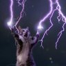 Goodkat