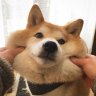 Ezkimo