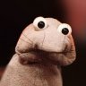 ssssammy