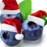 Ti-Blueberry