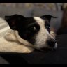 CptHappyHour