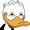 Oko