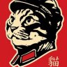 Nocatplusplus