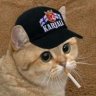 AzKo