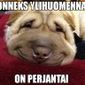 .pasi.