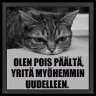 Paahtomarakatti
