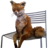 Risssaska