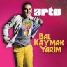 Arto