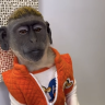 KenRailee