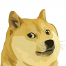 Sotalokki