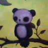 Pandabird